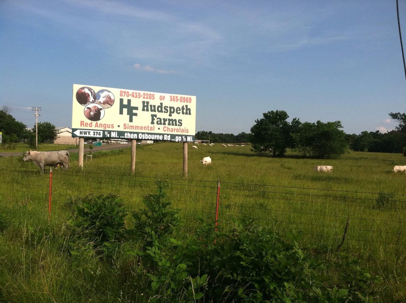 Hudspeth Farms roadside sign — Red Angus · Simmental · Charolais — Hwy 374, St. Joe, Arkansas